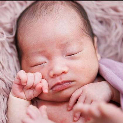 吉田写真堂 インスタグラム image