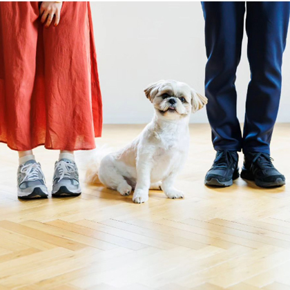 吉田写真堂 インスタグラム image