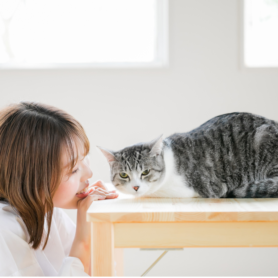 吉田写真堂 撮影メニュー ペット and you